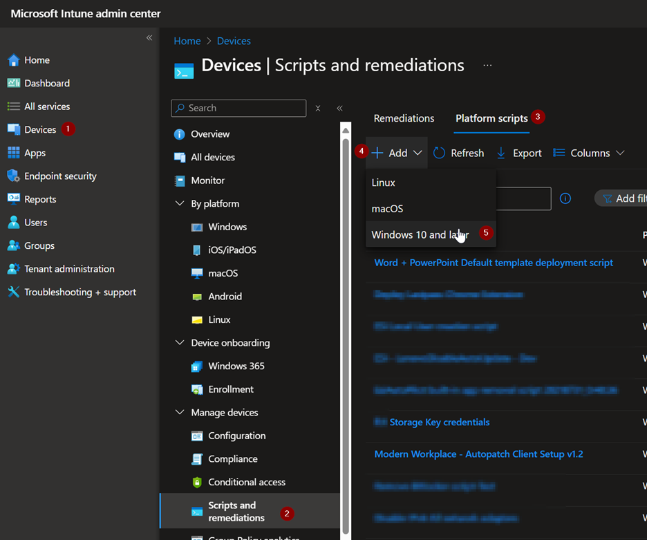 Intune Platform Scripts